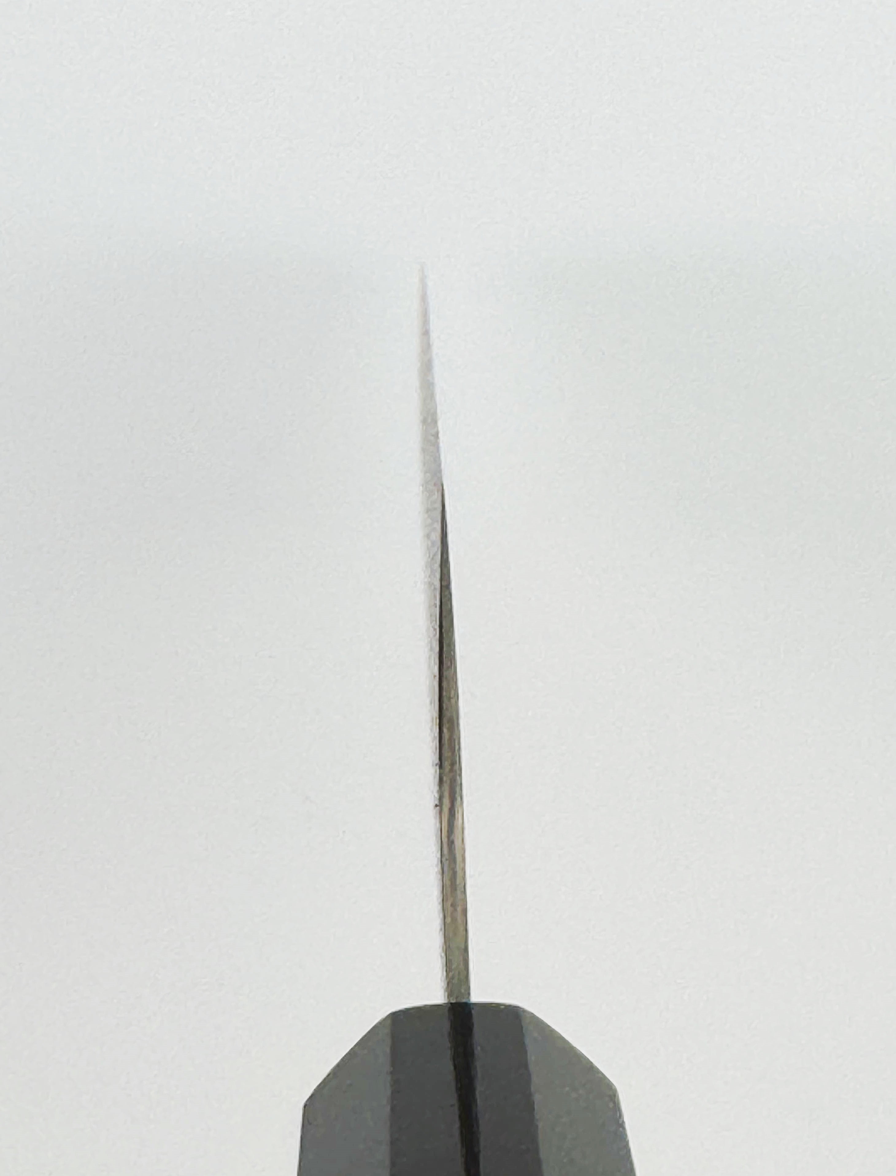Nigara Hamono  SG2 Damascus Kiritsuke 240mm with saya