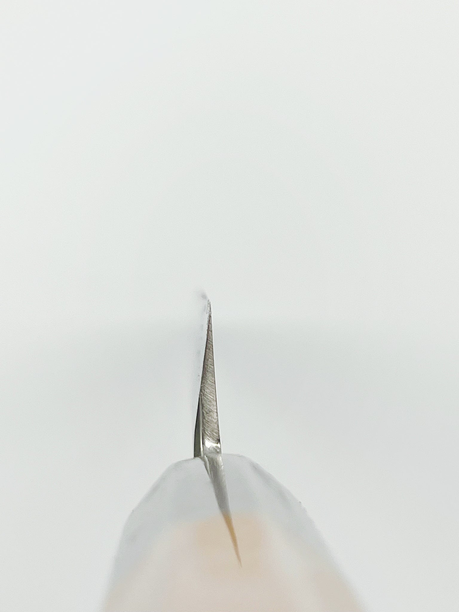 Sakai Takayuki Hakugin INOX Mirror Finish Yanagiba 240mm